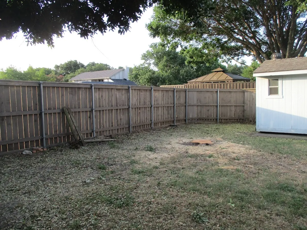 Cleared yard after professional tree removal in Tennessee Ridge